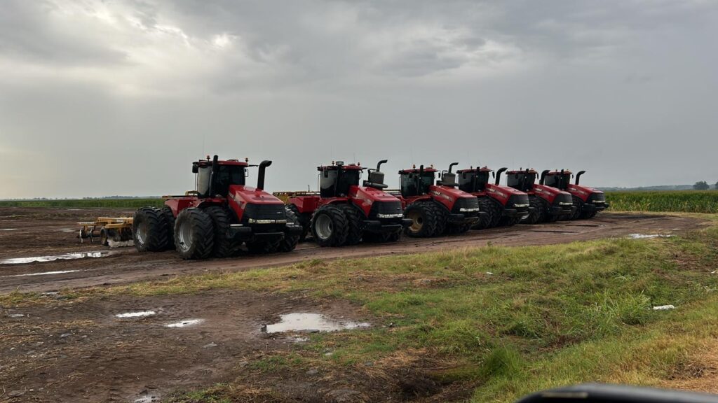 multiple red case tractors lined up in a row